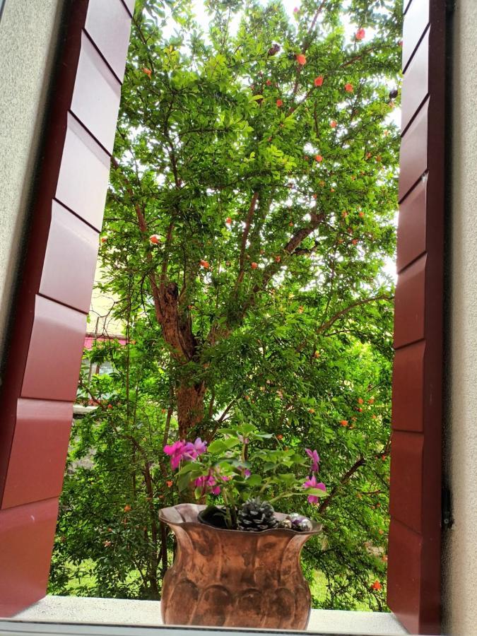 Il Melograno Hotel Vittorio Veneto Kültér fotó